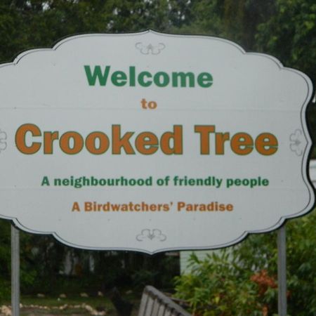Becks Bed & Breakfast Crooked Tree Esterno foto