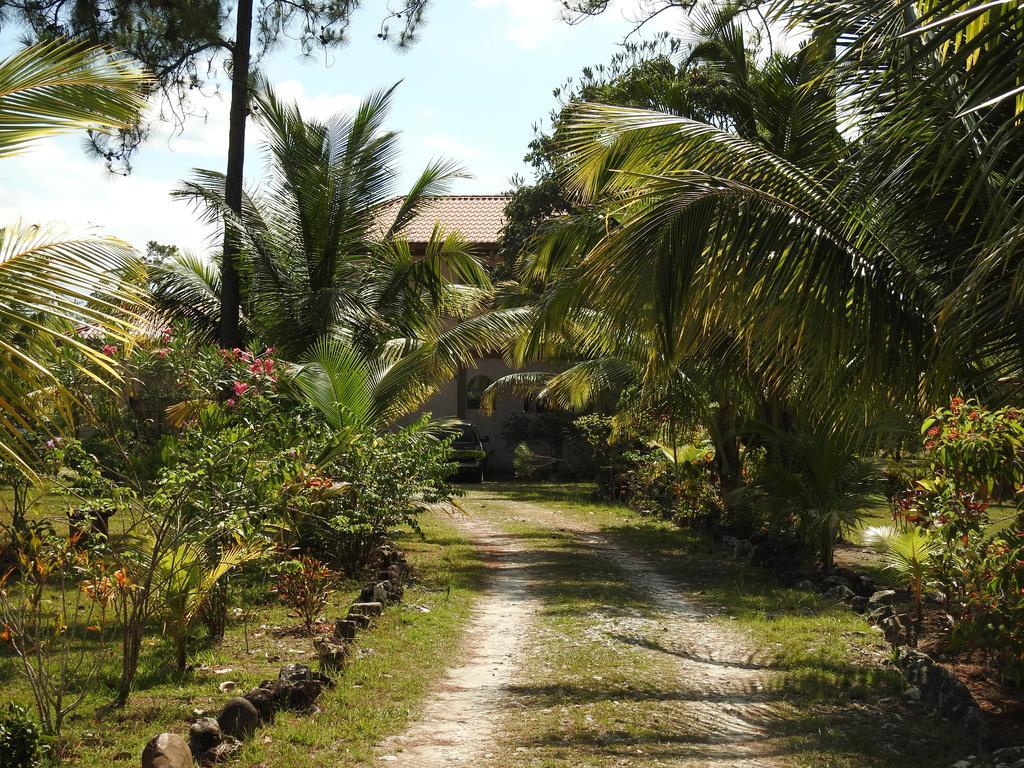 Becks Bed & Breakfast Crooked Tree Esterno foto