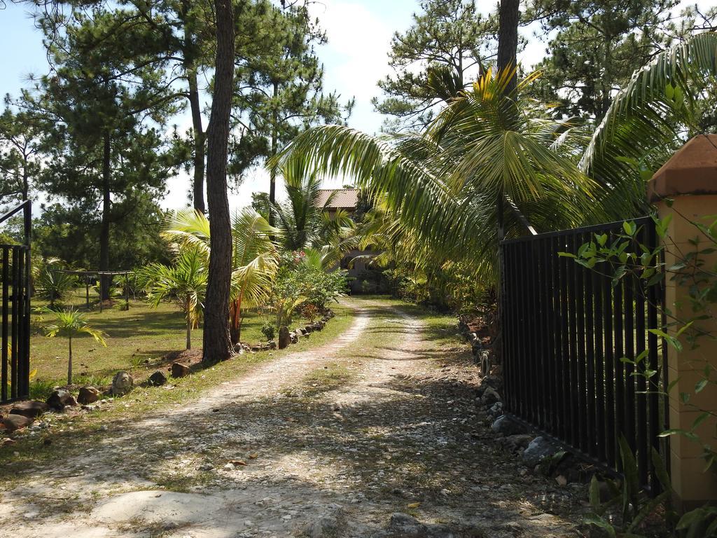 Becks Bed & Breakfast Crooked Tree Esterno foto
