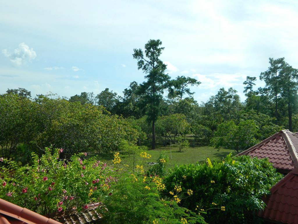 Becks Bed & Breakfast Crooked Tree Esterno foto