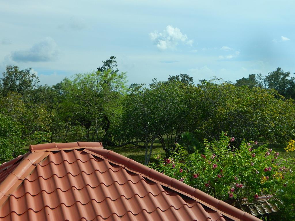 Becks Bed & Breakfast Crooked Tree Esterno foto