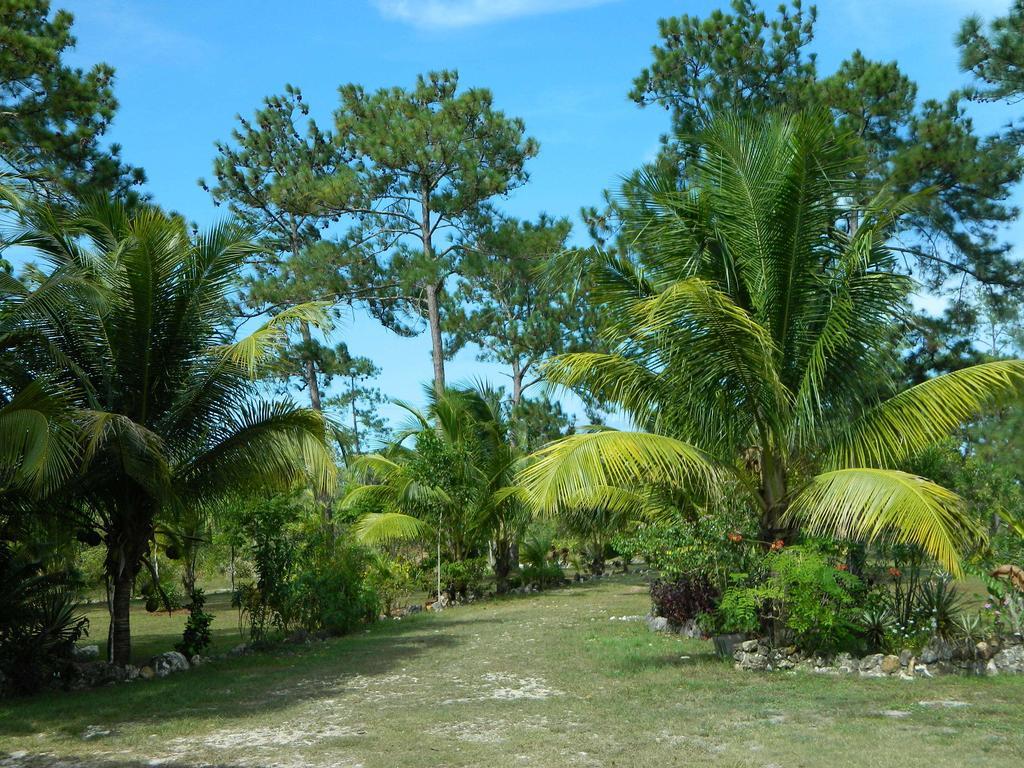 Becks Bed & Breakfast Crooked Tree Esterno foto