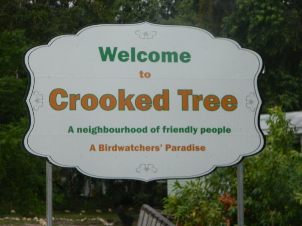 Becks Bed & Breakfast Crooked Tree Esterno foto